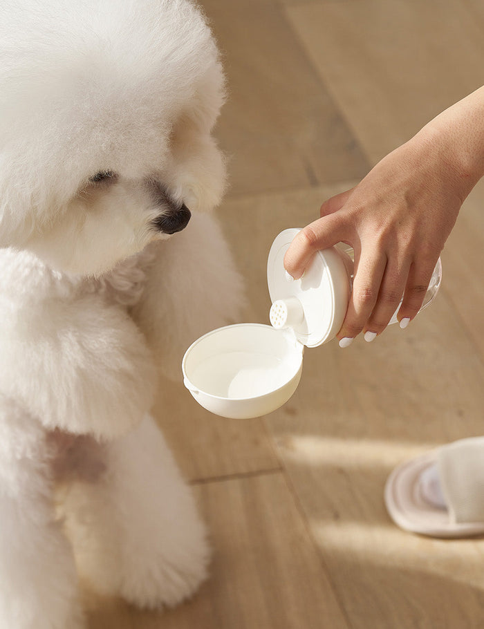 Woof Collection