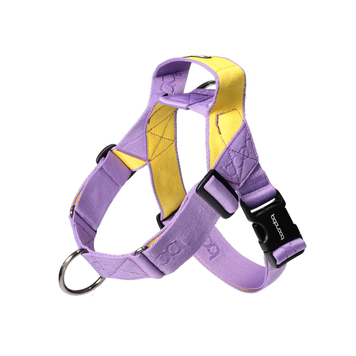0109 Harness – Purple Lemon