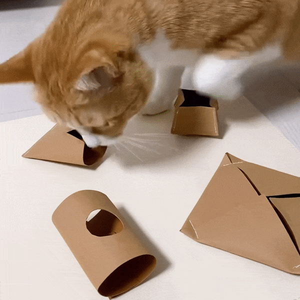 Catchhada | Natural Puzzle Mat for Curious Cats