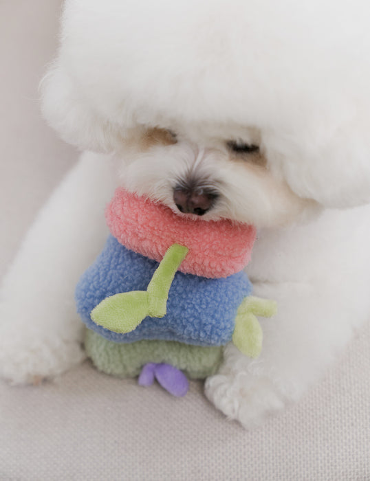 Fruit Squeaky Toy