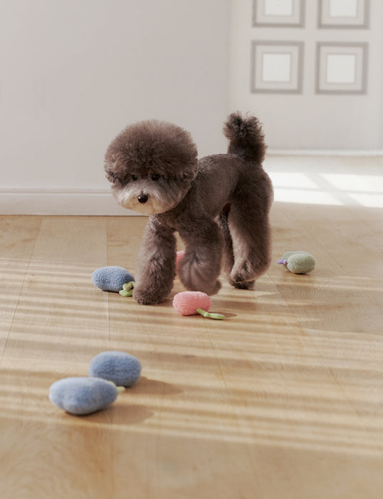 Fruit Squeaky Toy