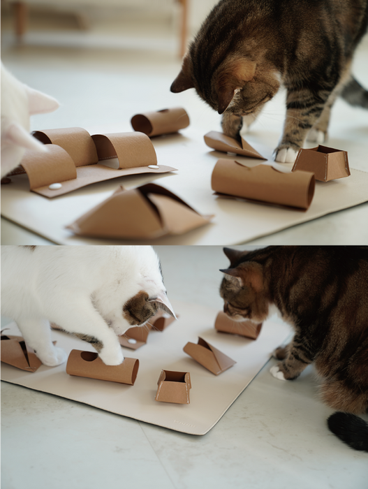 Catchhada | Natural Puzzle Mat for Curious Cats