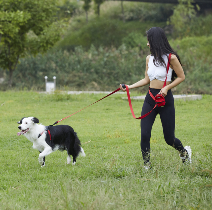 Play Leash 2.0